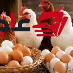 انخفاض أسعار الدواجن والبانيه اليوم الأربعاء بعد موجة ارتفاعات