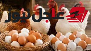انخفاض أسعار الدواجن والبانيه اليوم الأربعاء بعد موجة ارتفاعات