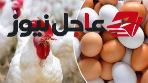 أسعار الدواجن في الأسواق تعكس اتجاهًا معاكسًا اليوم الجمعة