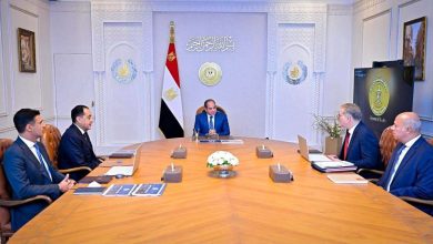 الرئيس السيسي يوجه بتعزيز الاستثمار في التعدين وتوطين الصناعات وزيادة الإنتاج والتصدير