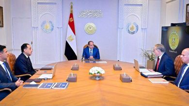 عاجل.. الرئيس السيسي يوجه باتخاذ الإجراءات اللازمة لسحب الأراضي الصناعية الشاغرة غير المستغلة