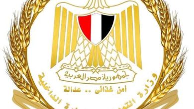 وزير التموين يحذر من التلاعب بأسعار الخبز: لا تهاون مع المخالفين.. وضبط 36 مخالفة بالأقصر